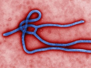 EBOLA